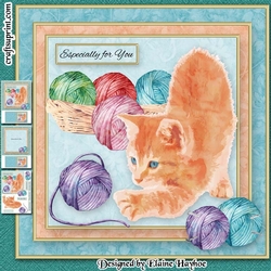 Purrfect Birthday Mini Kit