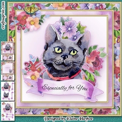 Lucky Black Cat Mini Kit