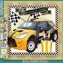 Rally Car Special Mini KIt