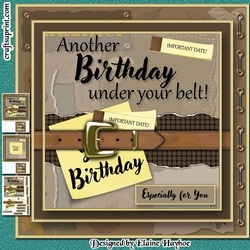 Another Birthday Under Your Belt Mini Kit