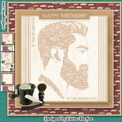 If The Beard Fits Mini Kit