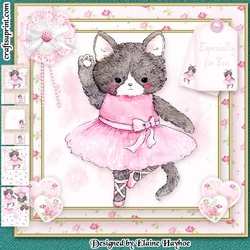 Kitty Ballerina Mini Kit