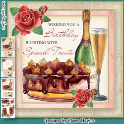 Special Treat Mini Kit