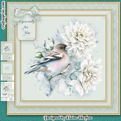 Beautiful Bird Mini Kit
