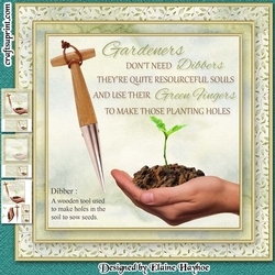 Gardeners Dont Need Dibbers Mini Kit