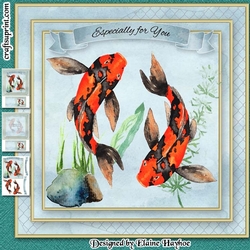 Koi Carp Birthday Mini Kit