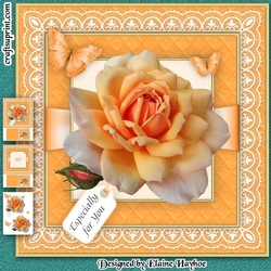 Butterfly Rose 2 Mini KIt