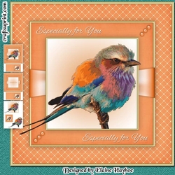 Pretty Little Bird Mini Kit