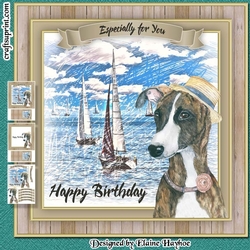 Regatta Pup Mini Kit