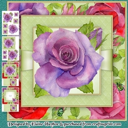 Specimen Rose 2 Mini Kit