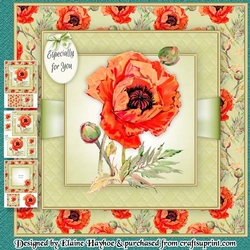 Field Poppy Mini Kit