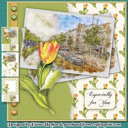 Tulips From Amsterdam Mini Kit