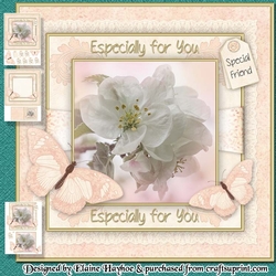 Apple Blossom Mini Kit