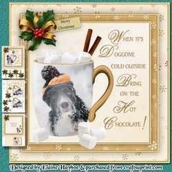 Doggone Cold Mini Kit