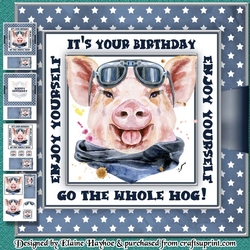 The Whole Hog Birthday Mini Kit