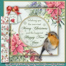 Robin Christmas Mini Kit