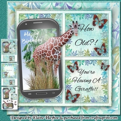 Youre Having A Giraffe Birthday Mini Kit