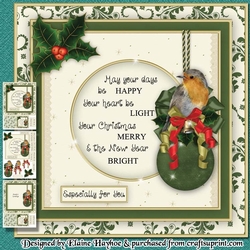 Robin & Bauble Mini Kit