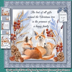 Fox Family Mini Kit