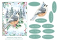 5x7 Cardinal Christmas Card Front