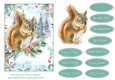 5x7 Squirrel 1 Christmas Card Front