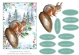 5x7 Squirrel 2 Christmas Card Front
