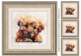 Dog 4  8x8 Card Front / Topper
