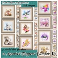 Ten Assorted 8x8 Card Front / Topper Bumper Kit