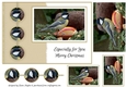 Great Tit A5 Christmas Card Front
