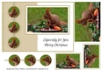 Red Squirrel A5 Christmas Card Front