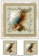 Kingfisher 8x8 Card Front Topper