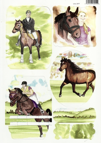 2 x 2077DC - A4 Show Jumping, Pony, Horse rider DIECUT