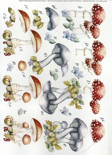 2 x 592CD - Variety of Mushrooms - NOT DIE CUT