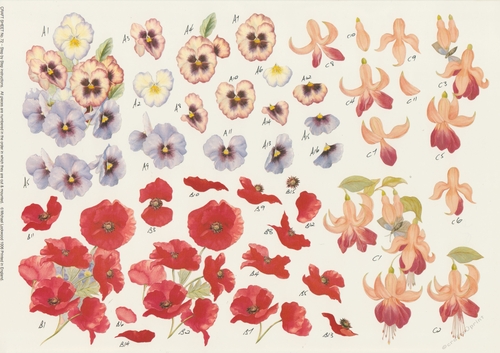 2 x 596CD - Flowers Pansy Poppy Fuschia - NOT DIE CUT