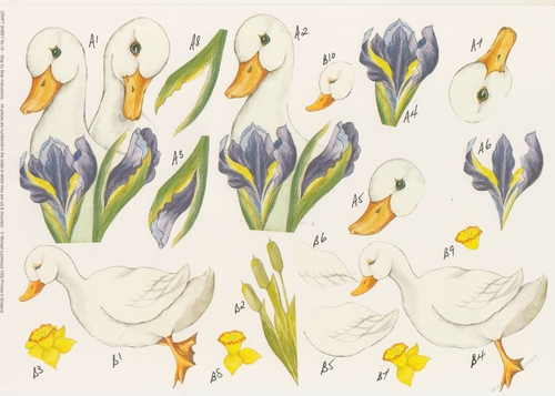 2 x 610CD - Swan Craft Sheet - A4 Step by Step - Not Die Cut