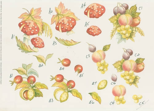2 x 615CD - Mushrooms Cherries and Mixed Fruit NOT DIE CUT