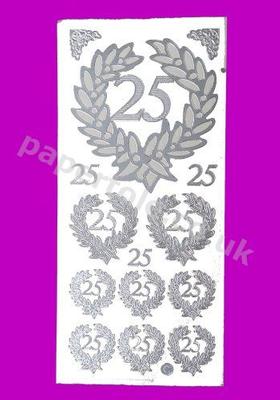 25th Wedding Anniversary 411