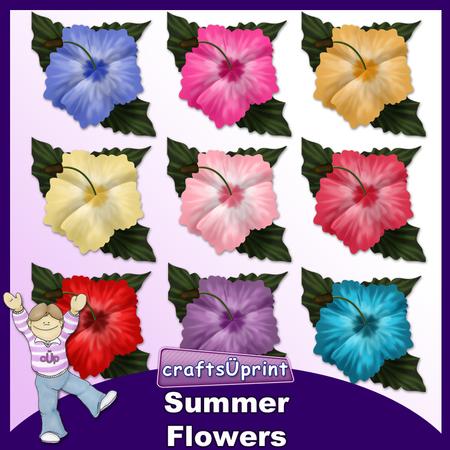 Summer Flowers