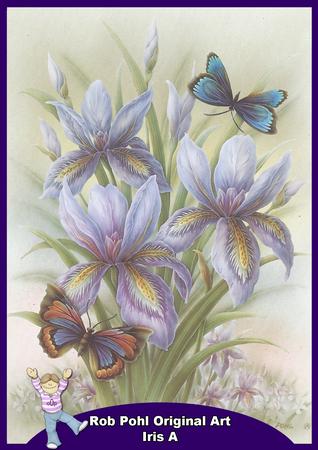 Rob Pohl Original Iris A