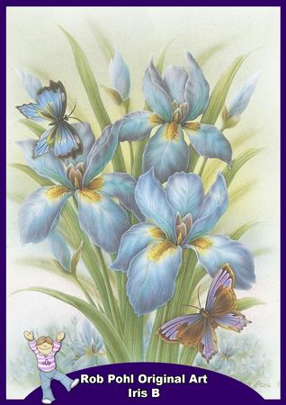 Rob Pohl Original Iris B