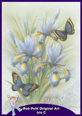 Rob Pohl Original Iris C