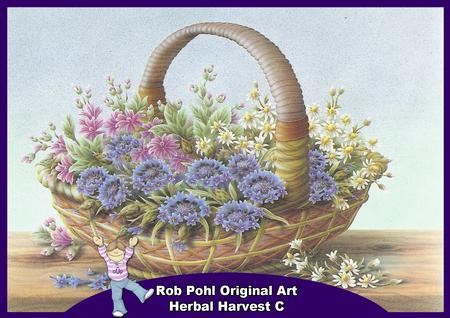 Rob Pohl Original Art Herbal Harvest C