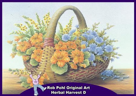 Rob Pohl Original Art Herbal Harvest D