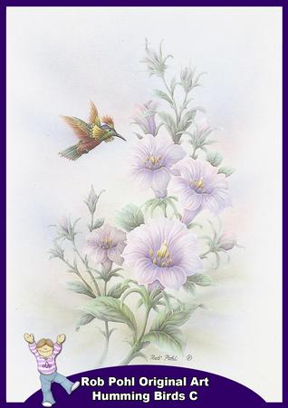 Rob Pohl Original Art Humming Birds C