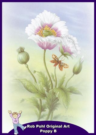 Rob Pohl Original Art Poppy B