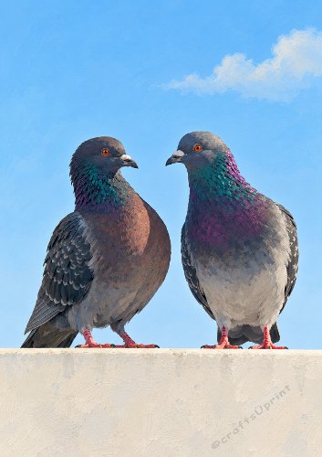 Pigeon Plans Humorous Card Front