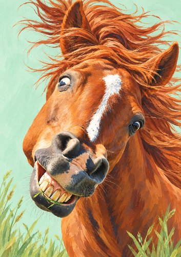 Ugly Horse Humorous Card Front