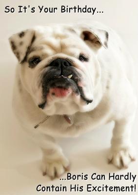 Excited Bulldog Card Front