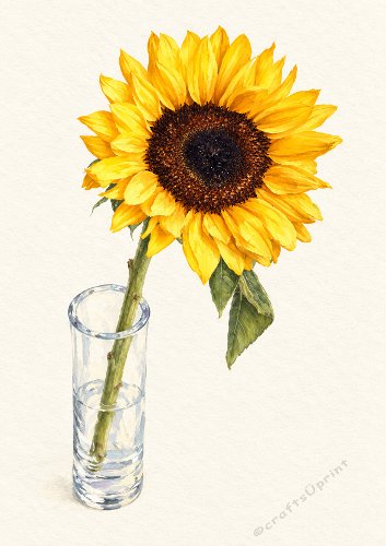 Solitary Sunflower Card Front