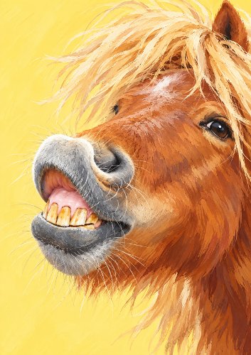Horse Kiss Humorous Card Front